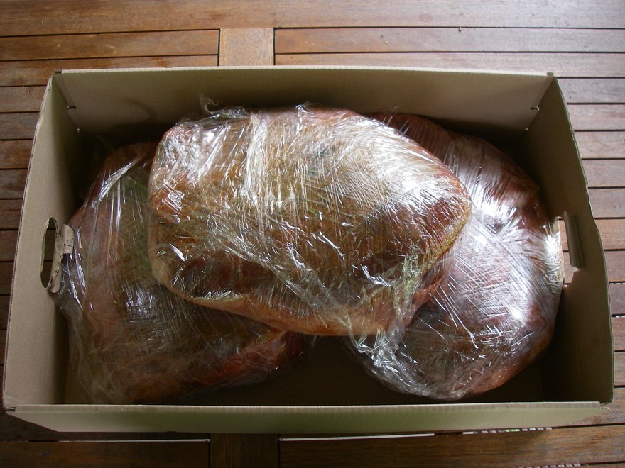 Pulled Pork BBQ - 4.jpeg