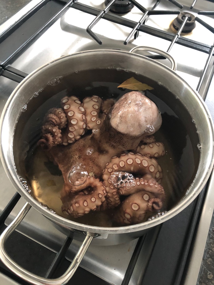 Pulpo - 2.jpeg