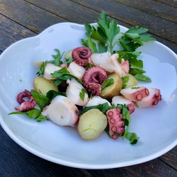 Pulpo - 3.jpeg